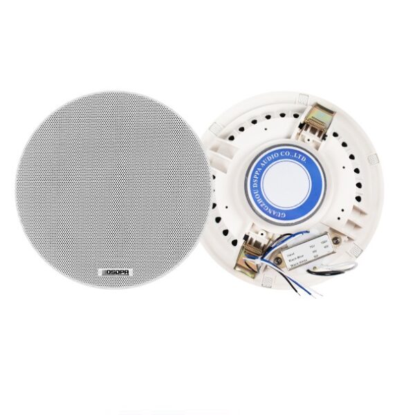 DSPPA 6.5" Frameless Ceiling Speaker