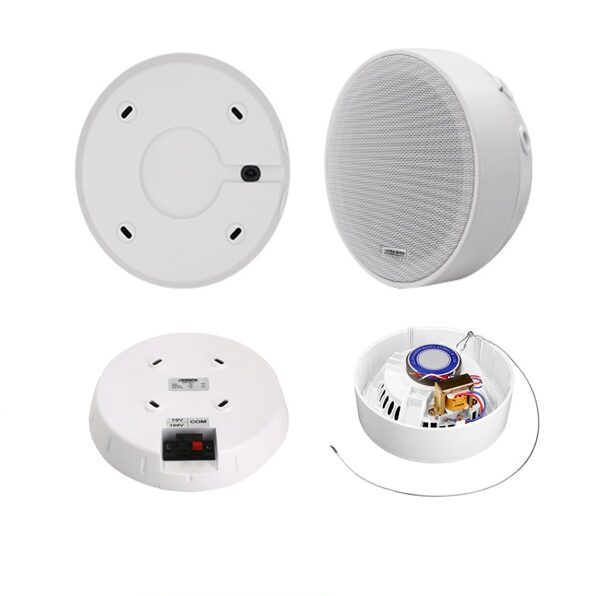 DSPPA 6.5" Surface Mount Ceiling Speaker
