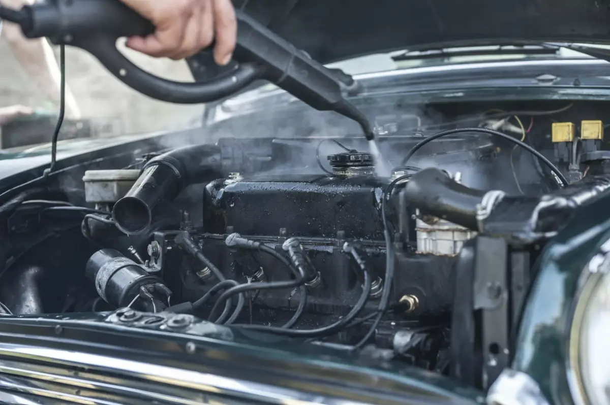 Bieffe Steam Generator Machine VAPOR - Image 2