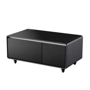 Gamvity Smart Coffee Table With 93l Refrigerator Frozen & fridge Drawer Tb90 - Black