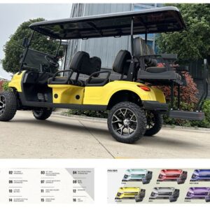 6 Seater Electric Golf Cart - S3