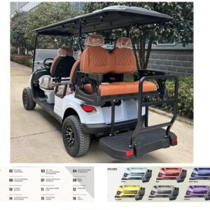 6 Seater Electric Golf Cart - S5