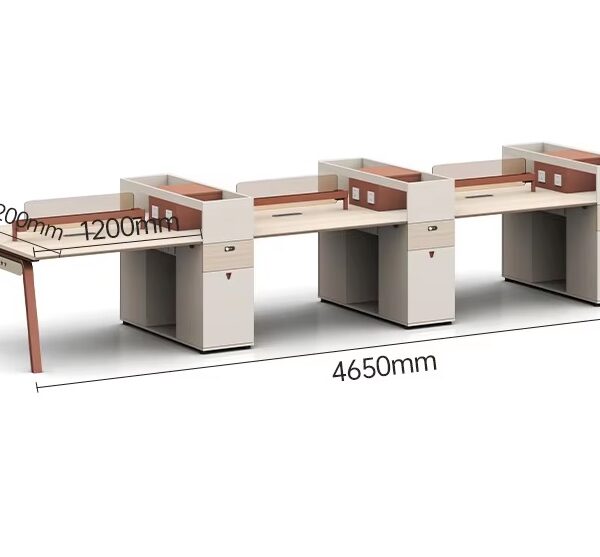 Customised Employee Partition Desk - 2