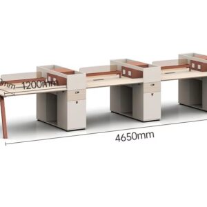 Customised Employee Partition Desk - 2