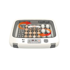 Rcom Full Automatic Egg Incubator, Poultry Hatcher, MX-50 DO (Made in Korea)