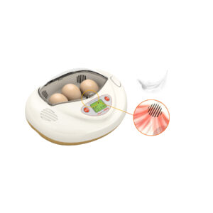 Rcom Mini PRO Incubator (PX-03) (Made in Korea)