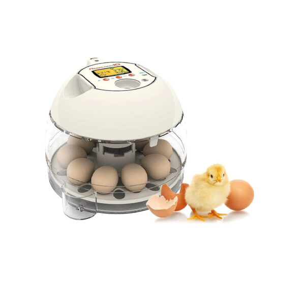 Rcom 10 Eggs Full Automatic Egg Incubator (10 Pro)
