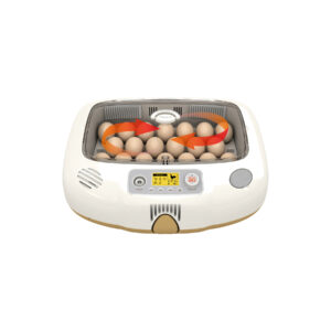 Rcom Automatic Egg Incubator for Hatching Eggs with Automatic Temperature Control, Humidity Sensor, PX-20-DO (Made in Korea)