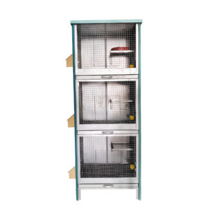 Cage for Pigeon 60x50x175cm