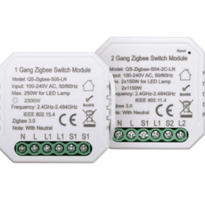 Zigbee 2 Gang Switch Module