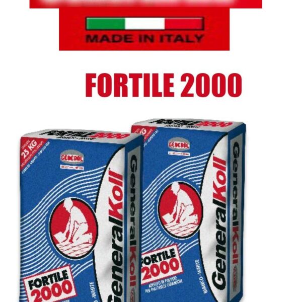 Tile Adhesive GeneralKool -Fortile 2000 Italy 25Kg