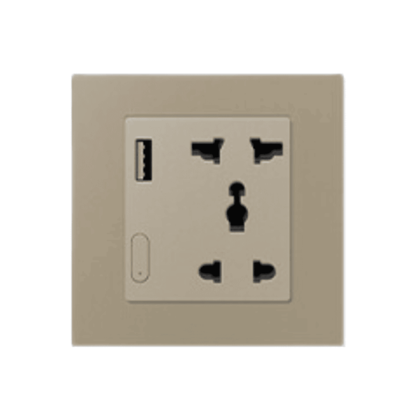 Zigbee Smart Socket With USB- EU - Golden