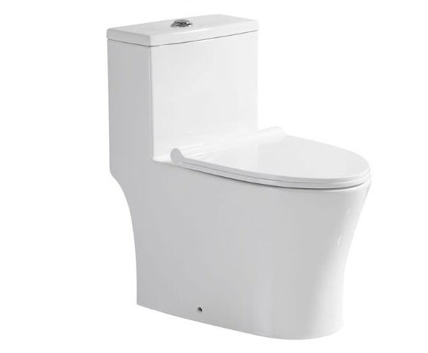 One Piece Toilet Model 6291 White UF