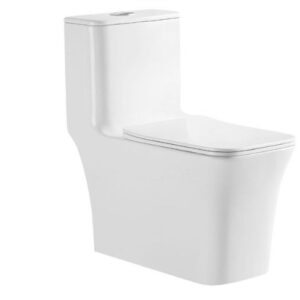 One Piece Toilet Model 8615 White Rimless