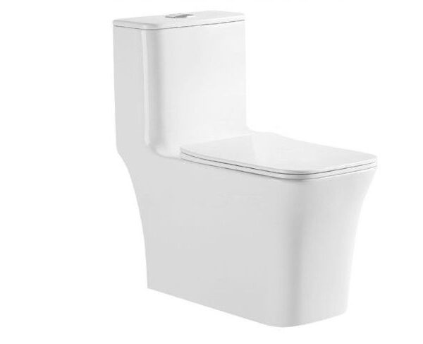 One Piece Toilet Model 8615 White Rimless