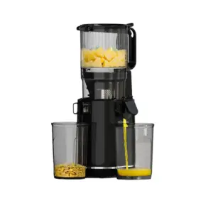 Porodo Lifestyle Cold Press Slow Juicer