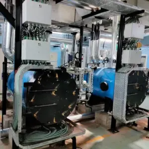 Coal Fired 900 Kg/hr Steam Boiler, IBR Approved