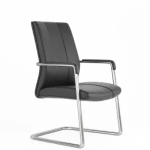 Dezzy Visitor Side & Guest Chairs