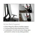 Promax with Headrest Executive & Conference Chairs Tasks & Ergonomic Chairs - Image 3