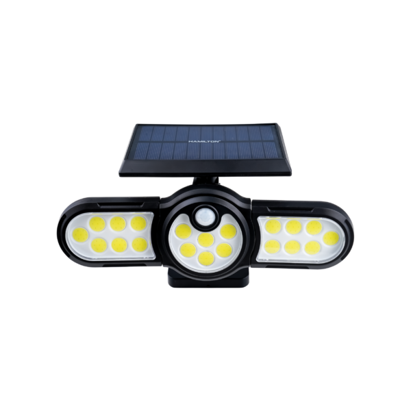 Hamilton Solar Induction Lamp New High Technology