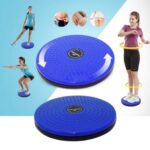 Waist Twister Disc - Image 2