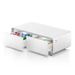 Gamvity Newest Luxury Pro Version Smart Coffee Table 135l Refrigerator (Tb135) - Pure White