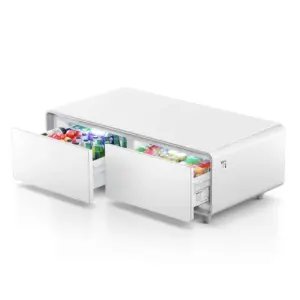 Gamvity Newest Luxury Pro Version Smart Coffee Table 135l Refrigerator (Tb135) - Pure White