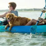 Magic Mystic paddle - Image 3
