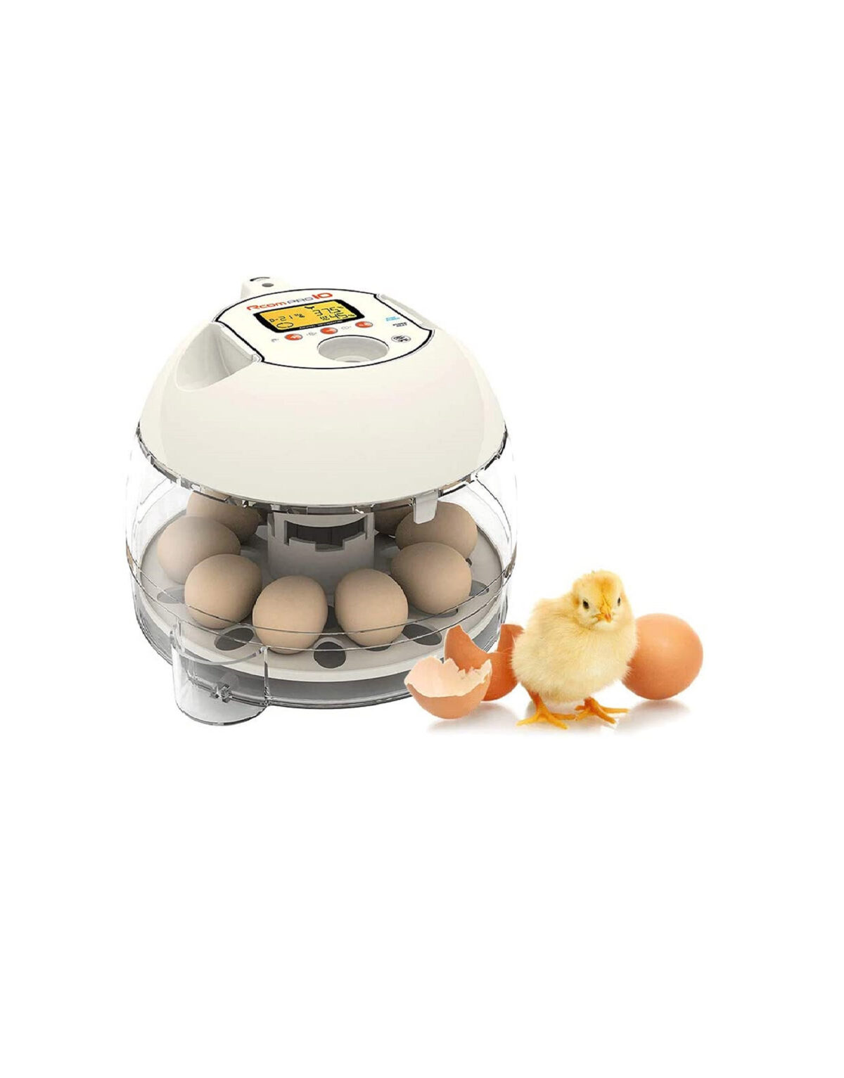 3-1-1.jpg Rcom 10 Eggs Full Automatic Egg Incubator (10 Pro) - Image 1