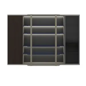 Gramy Executive Wall Storage Cabinet W2800 x D424 x H1950mm