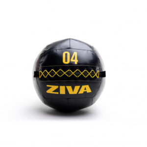 ZIVA Performance Wall Ball 4 kg