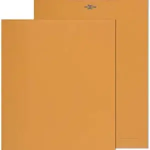 Paper Pouch Brown Envelop 9"x4"
