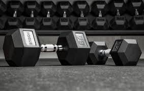 20LB ROGUE RUBBER HEX DUMBELL PAIR
