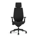 BM Gesture with Headrest