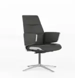 Normann Lounge / Visitor Executive & Conference Chairs Lounge Chairs Side & Guest Chairs - Image 5