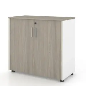 Universal 2-Level Cabinet (White Body)
