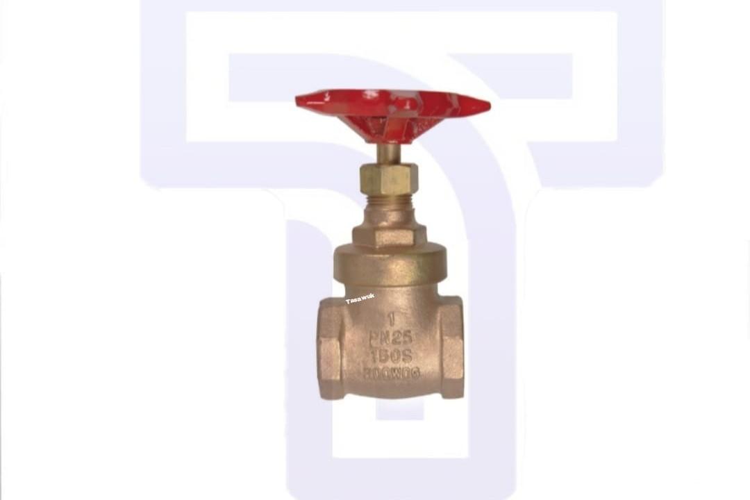 APDD1924.jpg Proline 3/4 In. Fip Brass Gate Valve Lead-free - Image 1