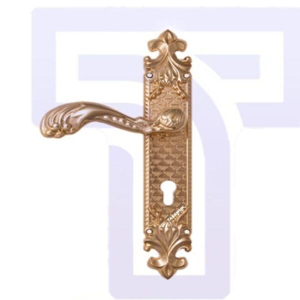 KANEE BRASS DOOR HANDLE
