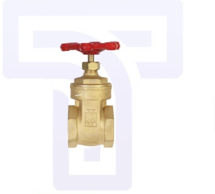 DYIM4562.jpg Proline 2 In. Fip Brass Gate Valve Lead-free - Image 1