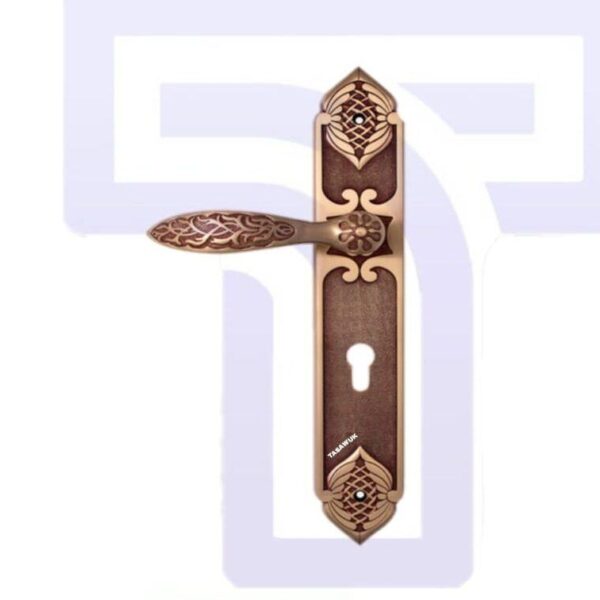 Kanee Brass Door Handle