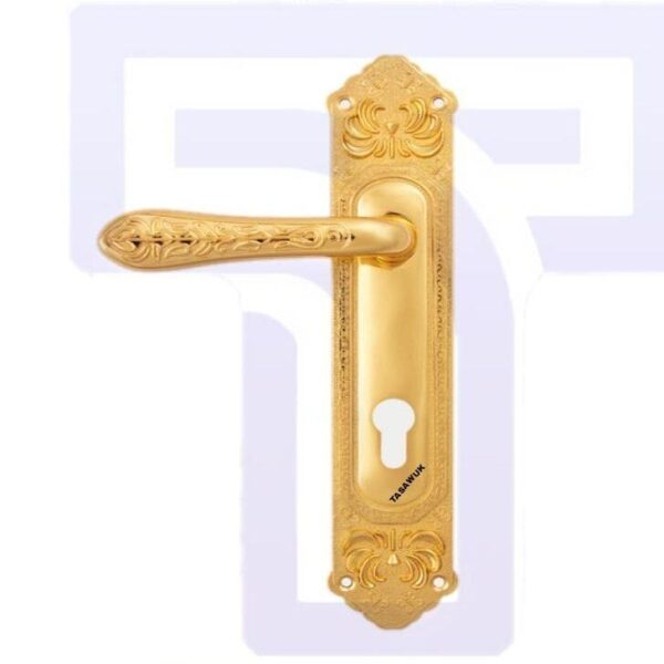 Colado Door Handle