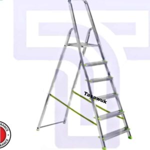 Domestic Ladder