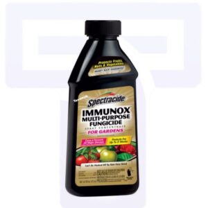 Immunox Concentrated