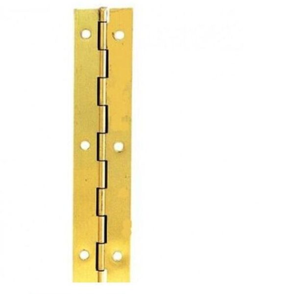 Bulk Purchase: Piano Hinges (3 Meters) - Pack of 10