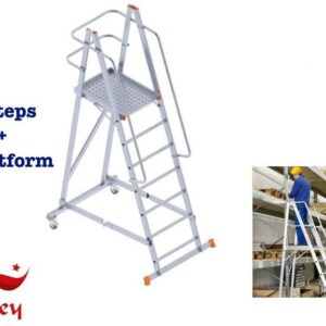 Warehouse Platform Ladder