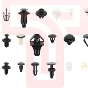 Automotive Clips Assorted