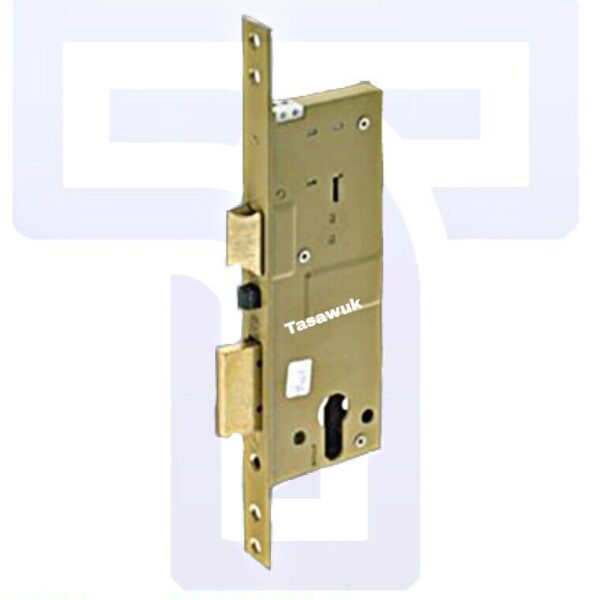 Enhanced Security with Electric Mortise Lock 50mm