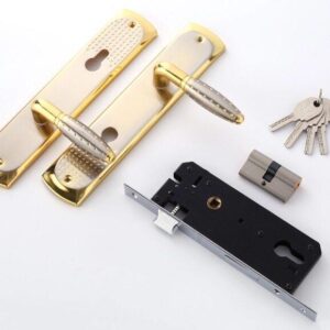 Door Handle With Lock Body