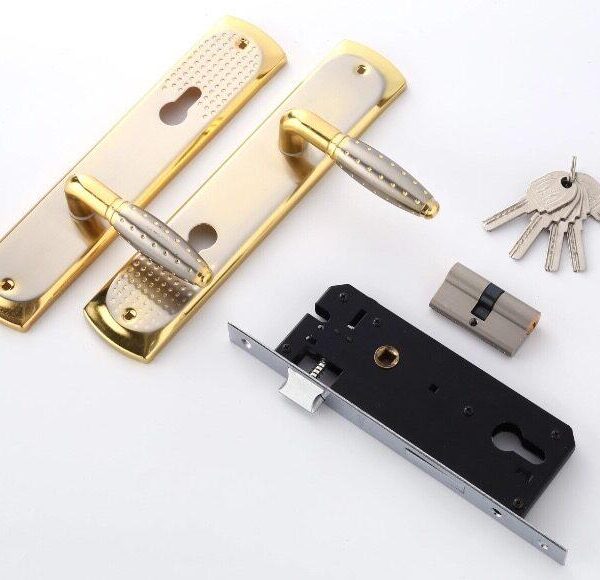 Door Handle With Lock Body