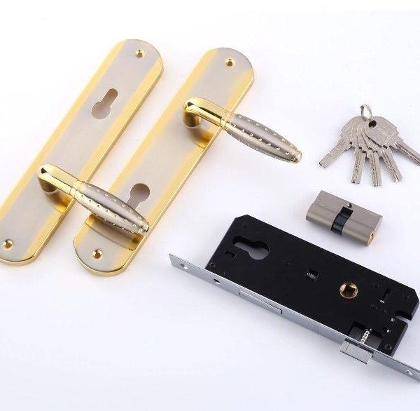 Door Handle With Lock Body